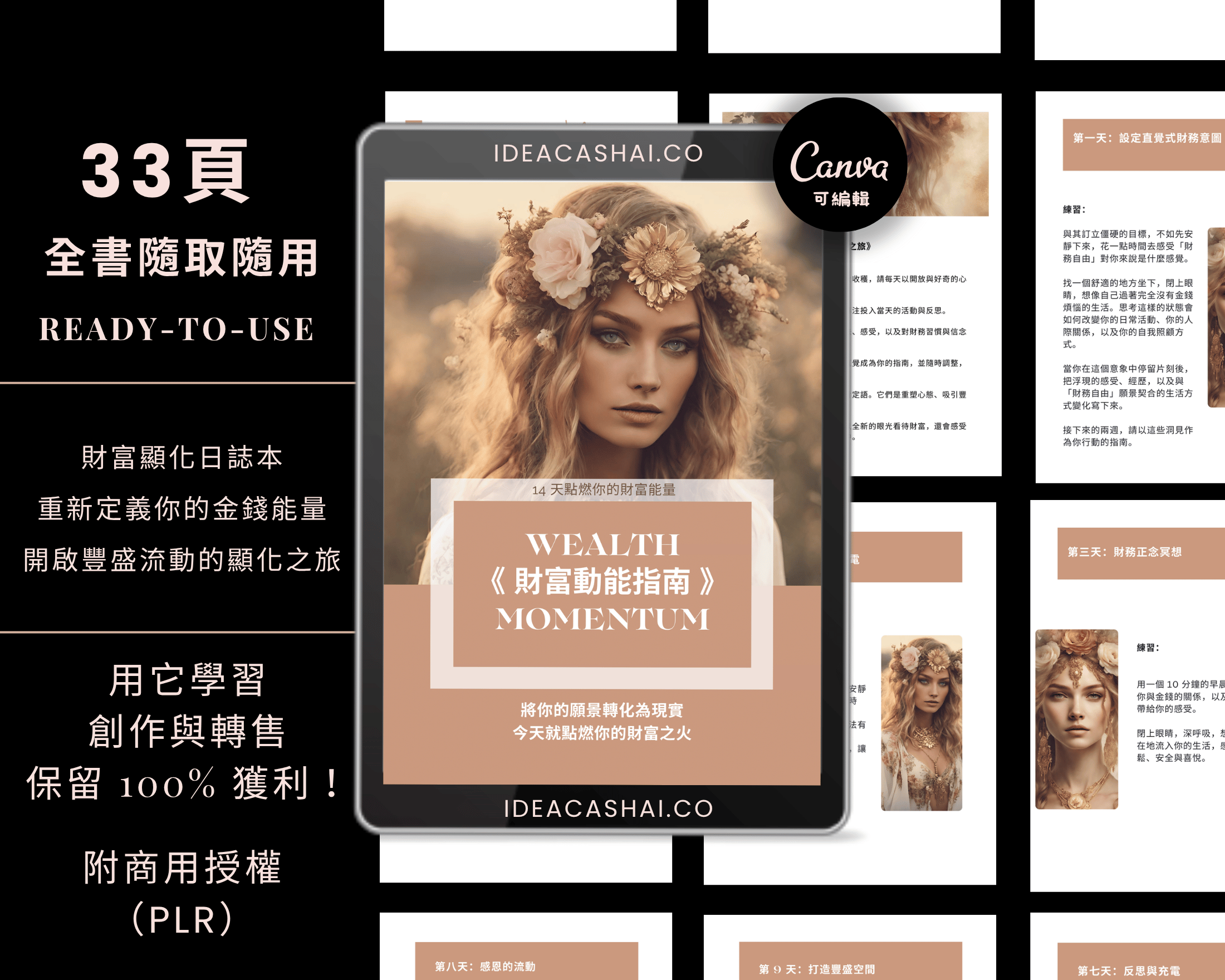 致富顯化力™ 套組（中文版 | 可轉售授權）