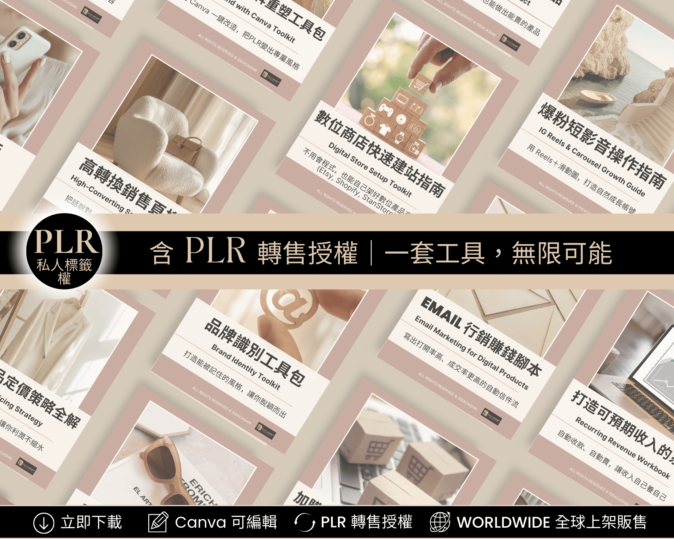 15 週數位變現計畫™